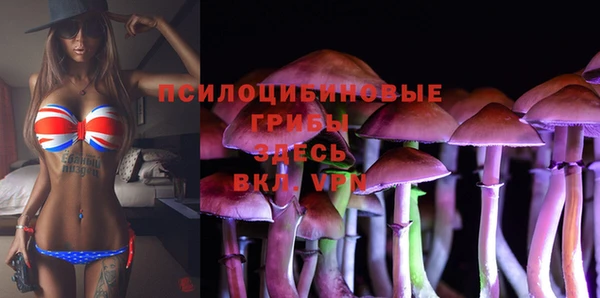 скорость Богородск