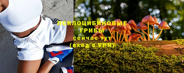 скорость Богородск