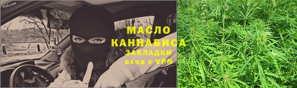 дмт Богородицк