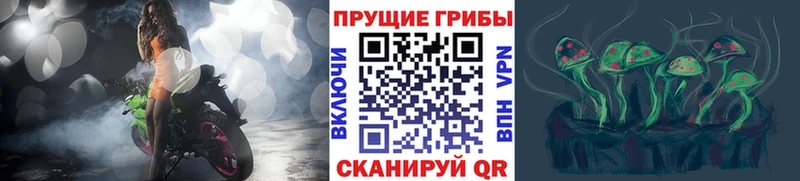 Псилоцибиновые грибы Psilocybe  купить наркотики сайты  Великий Устюг 