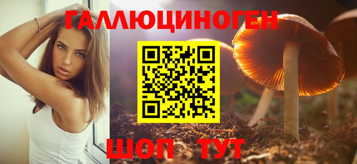 Псилоцибиновые грибы Magic Shrooms  Вход с VPN  Великий Устюг 